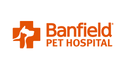 Data Pipe 5 banfield.png